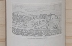 Fattorie Melini Chianti Classico Vigneti La Selvanella Riserva 2013