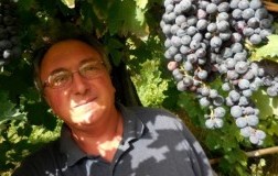 michele perillo cantina vini campania Taurasi riserva 2008
