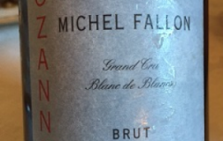 Michelle-Fallon-Ozanne.jpg