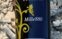 Mille880-2011.jpg