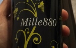 Mille880-2015.jpg