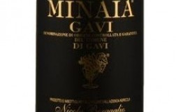 Minaia-2016.jpg
