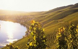 Mitico Riseling (2): Trocken e Kabinett di Germania