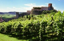Modificato il disciplinare Montefalco
