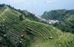 27 e 28 agosto al via il 28° Mondial des vins Extrêmes