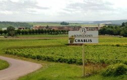 Mondo Chablis (1)