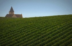 Mondo Chablis (3): i 2 Top Player