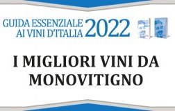 Monovitigni 2022