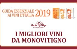 I migliori vini da monovitigno 2019
