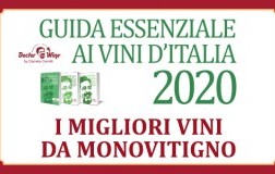 Monovitigno DoctorWine 2020