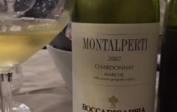 Montalperti-2007.jpg