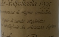 Monte-Lodoletta-1995.jpg