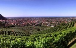 montepepe cantina vini toscana bianco panorama vigneti