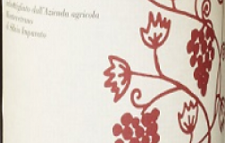 montevetrano vino rosso campania etichetta doctorwine
