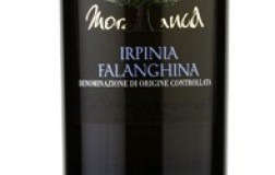 Morabianca-2015.jpg