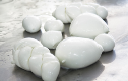 Mozzarella anticamorra