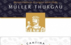 Myller-Thurgau-2012.jpg