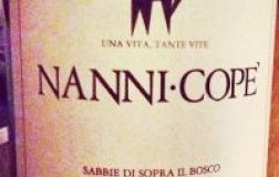nanni copè Sabbie di Sopra il Bosco terre del volturno rosso igt 2009
