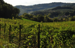 Nel cuore verde d'Italia