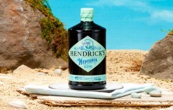Neptunia Gin Hendrik-s