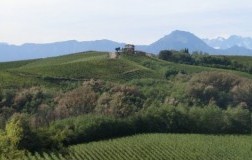 Nervi Gattinara Vigneti Roberto Conterno
