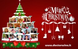 Le novità di DoctorWine