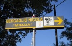 Nicola Bergaglio: Un Gavi da sballo!