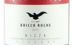 Tenuta-Il-Falchetto Nizza-Bricco-Roche-Riserva-2016