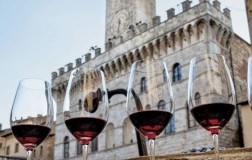 Nobile di Montepulciano, prove di crescita