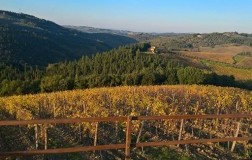 Noelia Ricci e lo stuzzicante trebbiano Bro’