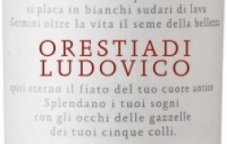 tenute orestiadi ludovico nero d'avola