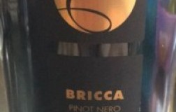 La Costaiola Oltrepò Pavese Pinot Nero Bricca vino rosso Lombardia