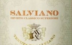Tenuta di Salviano Orvieto Classico Superiore Salviano 2018