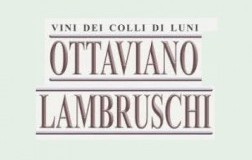 Ottaviano-Lambruschi.jpg