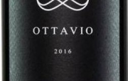 Cantina De Vigili Teroldego Rotaliano Ottavio Vigna Pasquari Riserva 2016