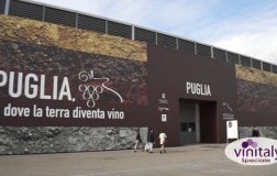 Padiglione Puglia al Vinitaly