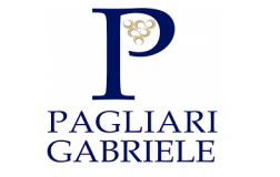 Pagliari Gabriele logo