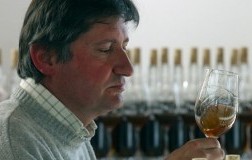 Cabernet Sauvignon Collezione De Marchi, il SuperCab (2)