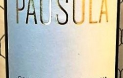 Pausula-2016.jpg