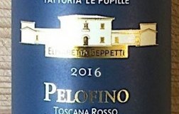 Pelofino-2016.jpg