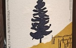 Peter Dipoli Alto Adige Sauvignon Voglar 2017