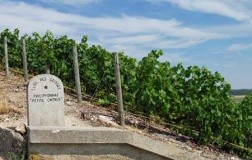Philipponnat Clos de Goisses Juste Rosé, insolito fascino