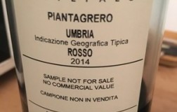 Piantagrero-2014.jpg