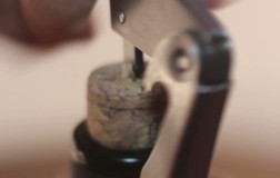 Piccoli vini crescono