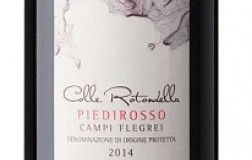 Piedirosso-Colle-Rotondella-2015.jpg