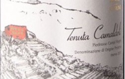 Piedirosso-Tenuta-Camaldoli-2013.jpg