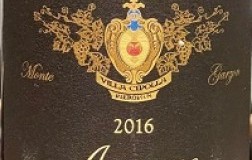 Pieropan Amarone della Valpolicella Vigna Garzon 2016