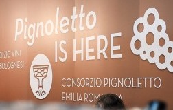 Pignoletto Emilia Romagna doc