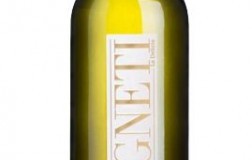 Pinot-Grigio-Vigneti-2016.jpg