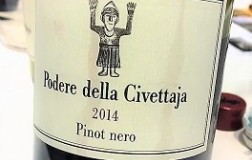 Pinot-Nero-2014.jpg